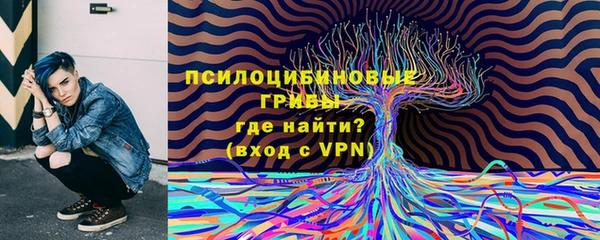 mdpv Елабуга