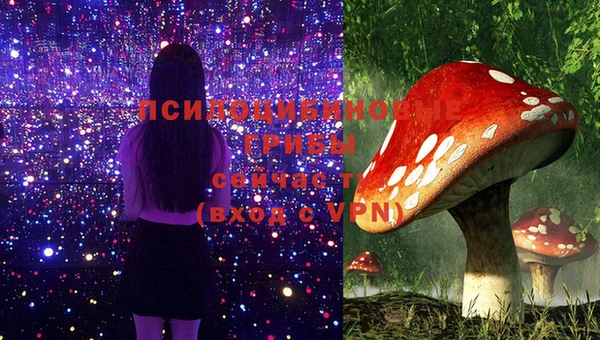 экстази Заволжск