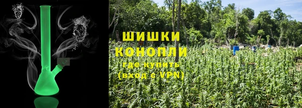 дмт Галич