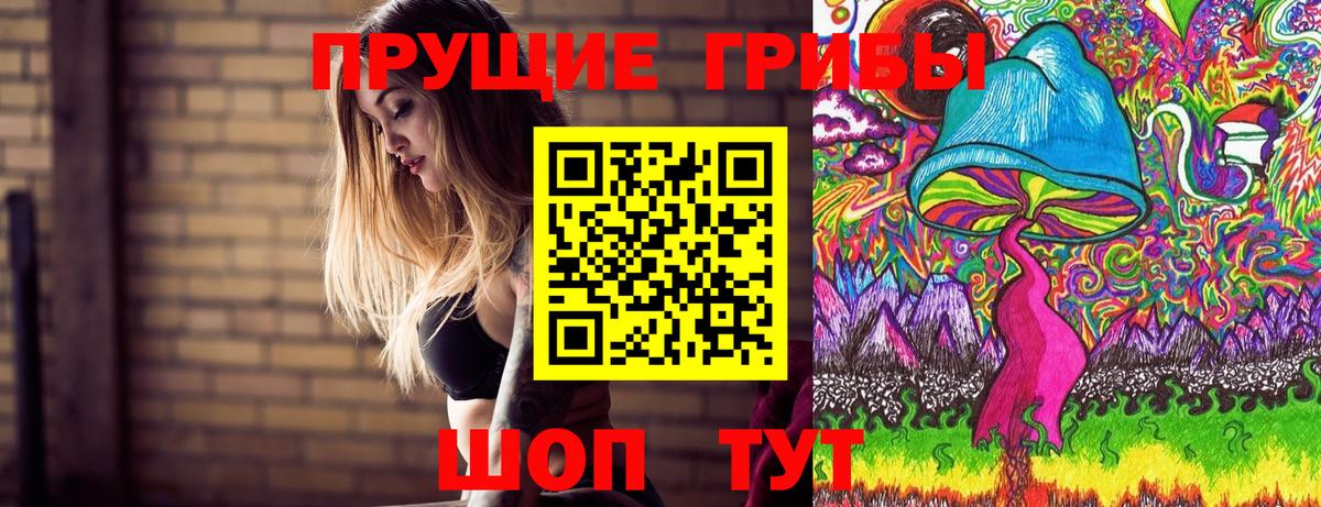 Галлюциногенные грибы прущие грибы  Вход с VPN  Заводоуковск 