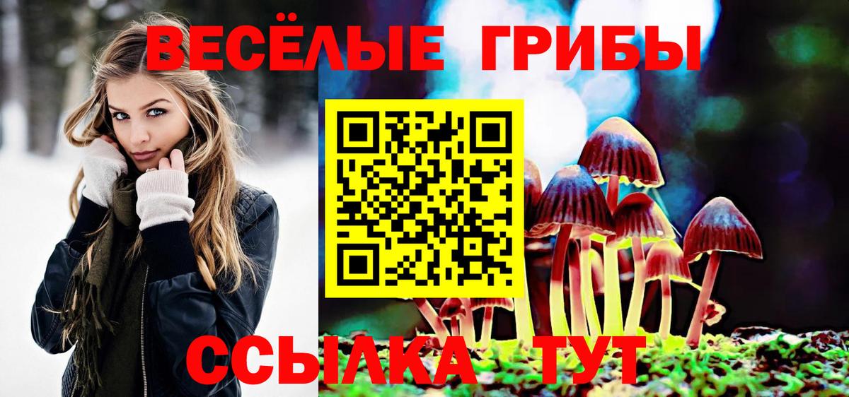 Галлюциногенные грибы мицелий Заводоуковск